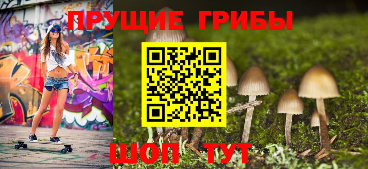 Псилоцибиновые грибы MAGIC MUSHROOMS  Вход с VPN  Орск 