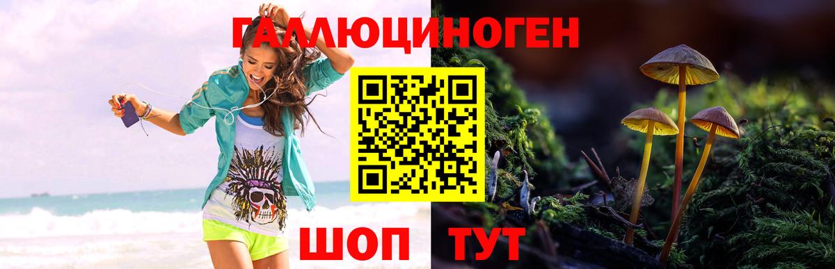 Псилоцибиновые грибы Magic Shrooms Орск